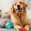 Treat Dispenser Ball