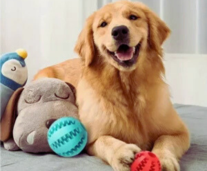 Treat Dispenser Ball