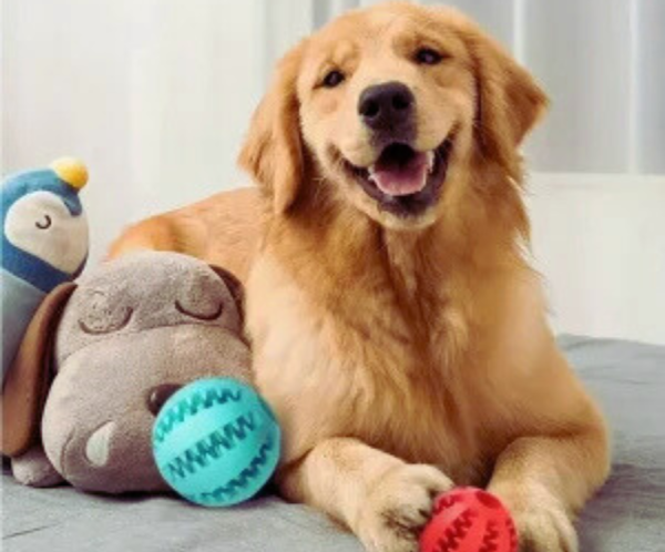 Treat Dispenser Ball