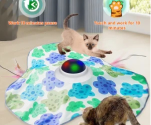 Interactive Cat Toys Rechargeable