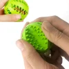 Treat Dispenser Ball