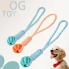 Treat Dispenser Ball