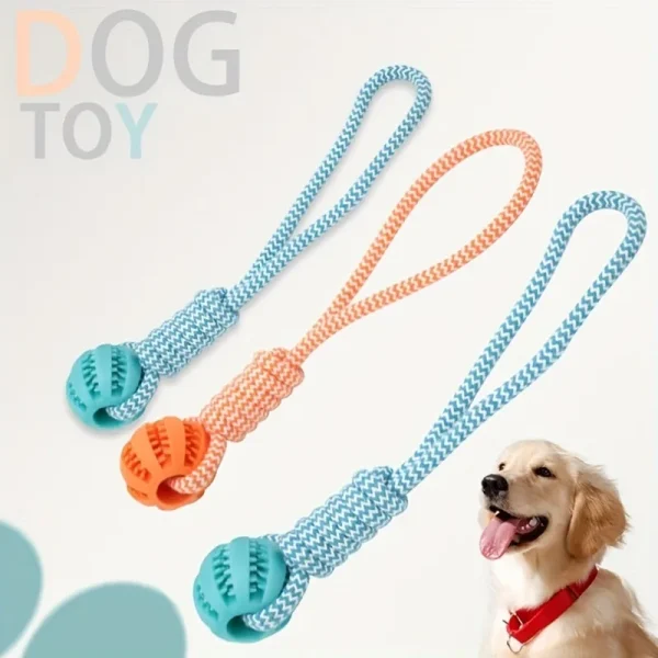 Treat Dispenser Ball