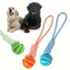 Treat Dispenser Ball