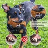 Gigwi Dog Chew