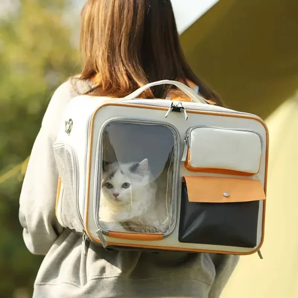 cat bag