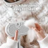 Pet Spray Hair