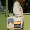 cat bag